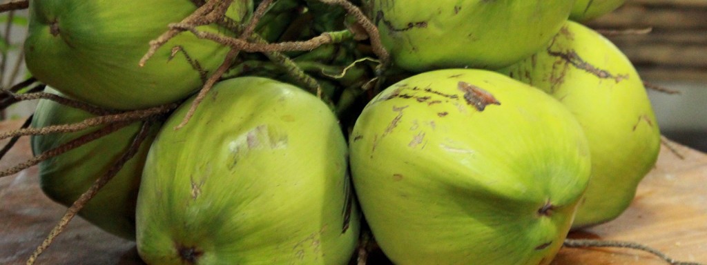 coconut-MALIZ-ONG